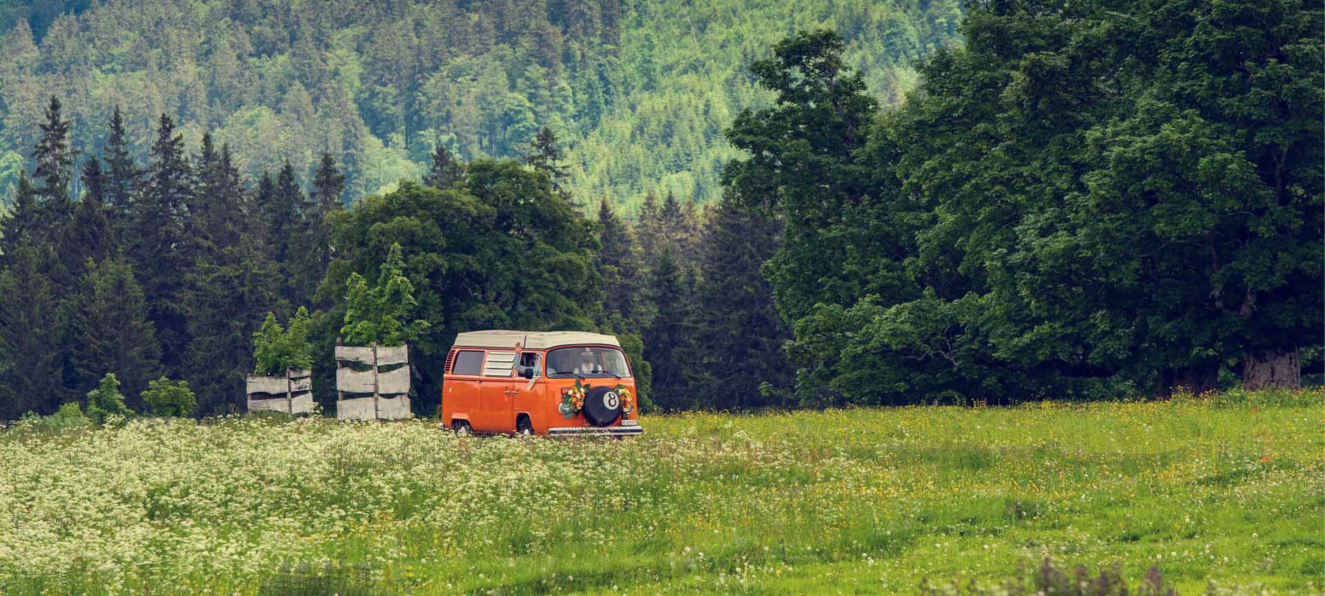 Combi VW ancien avec décoration de voiture sur champ de fleurs prairie luxuriante